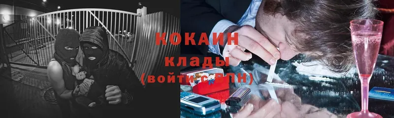 КОКАИН Fish Scale  kraken как войти  Кандалакша  купить закладку 